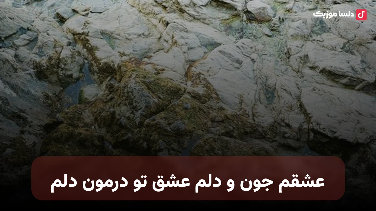 عشقم جون و دلم عشق تو درمون دلم دیگه دیگه تورو نمیخوام از دست بدم